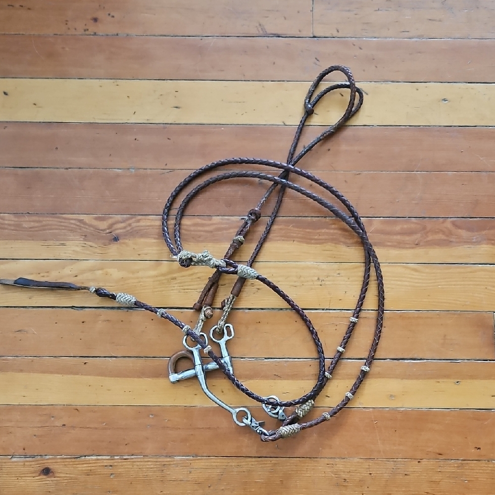 Horse Bridle Rig